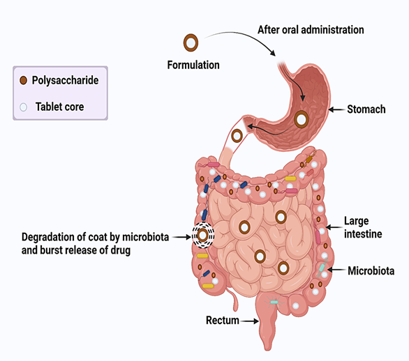 A Review On Microspheres And Its Role In Different Drug Delivery System