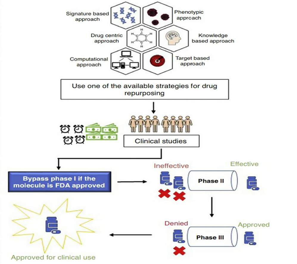 Network Pharmacology in Drug Repurposing and Reprofiling: Unraveling ...