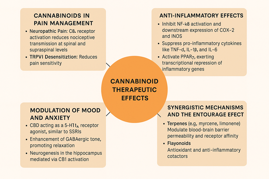 Cannabinoids as Multi-Target Agents: Exploring Bhang in Pain ...