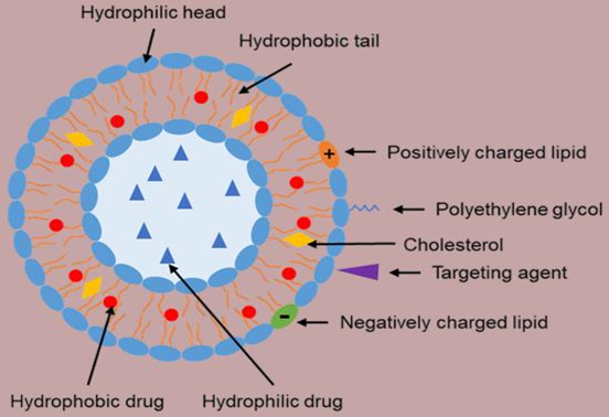 A Comparative Review of Thin Film Hydration and Microfluidic Techniques ...