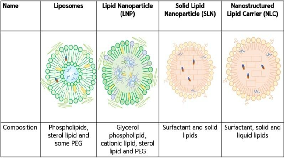 Nanotechnology In Drug Delivery for Cancer Treatment: Lipid-Based ...