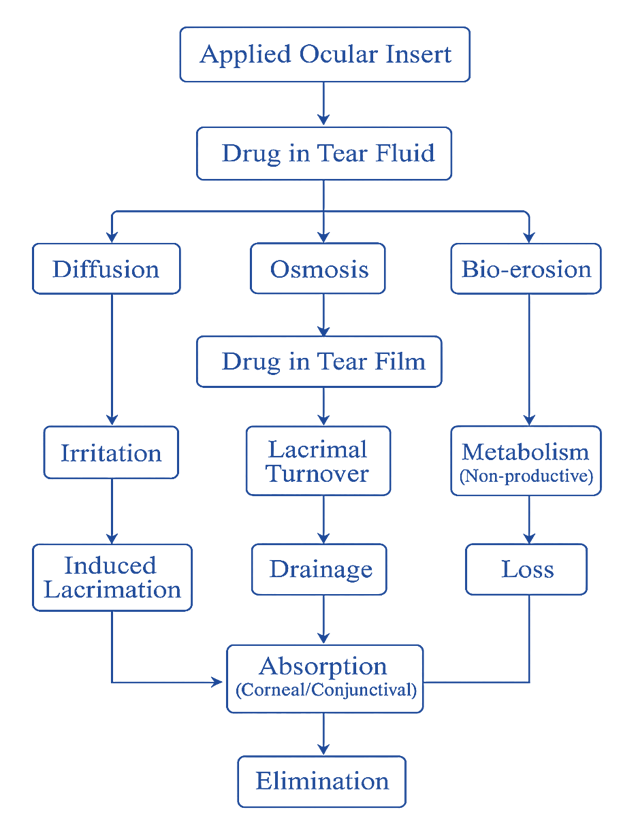 Eye On Innovation: A Comparative Review on Ocular Inserts and Eye Gel ...