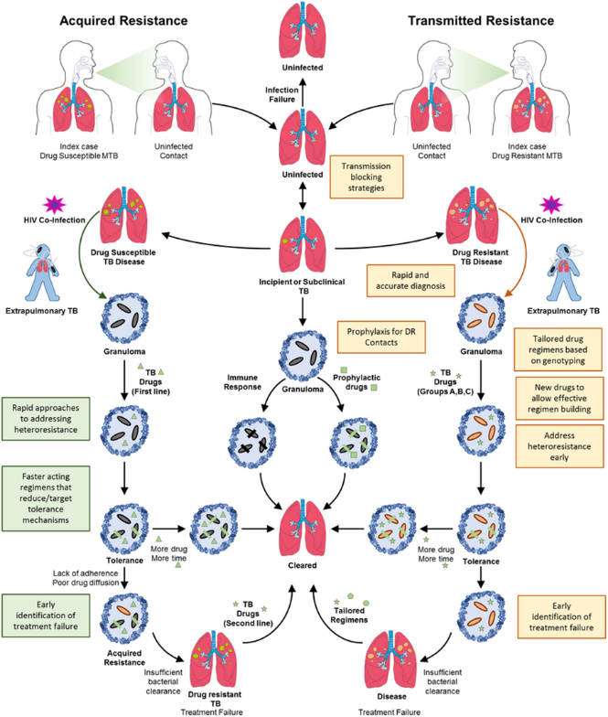 Innovative Approaches to The Diagnosis and Management of Multidrug ...