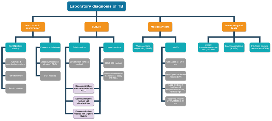 Innovative Approaches to The Diagnosis and Management of Multidrug ...