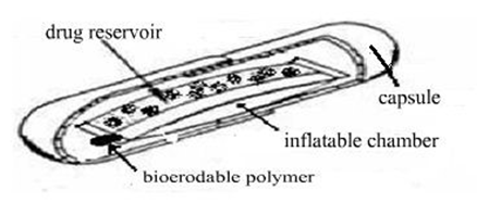 Capsule Type Float Innovative Approaches in the Formulation of Floating Tablets for ...