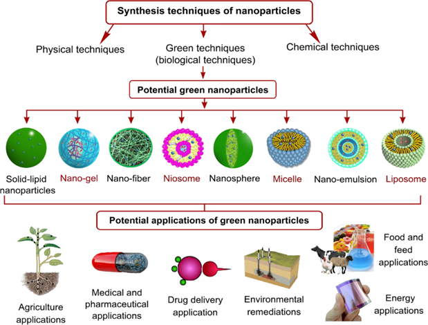 Formulation and Evaluation of Green Synthesis of Silver Nanoparticles ...