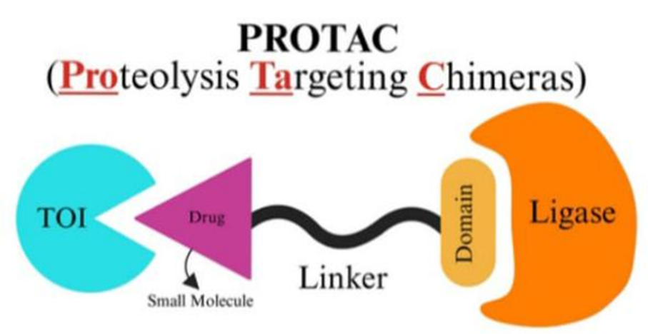 Nanotechnology-Enabled Targeted Delivery of Protacs for Cancer Therapy ...