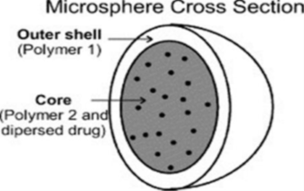 Microspheres: A Promising Technology For Controlled Drug Delivery