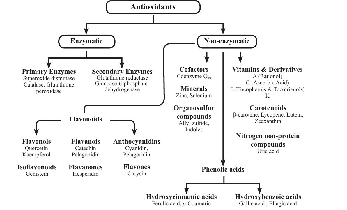 An Overview Of Screeing Methods Of Antioxidant Activity